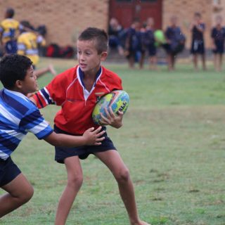 Rugby