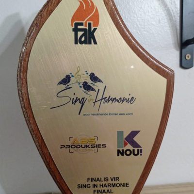 Sing in Harmonie 3de plek